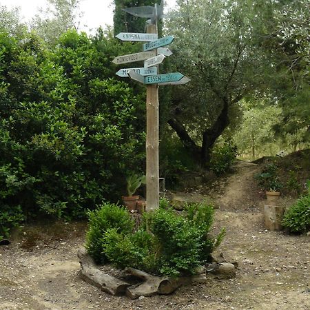 Ainzon Casa Rural Torre De Campos מראה חיצוני תמונה