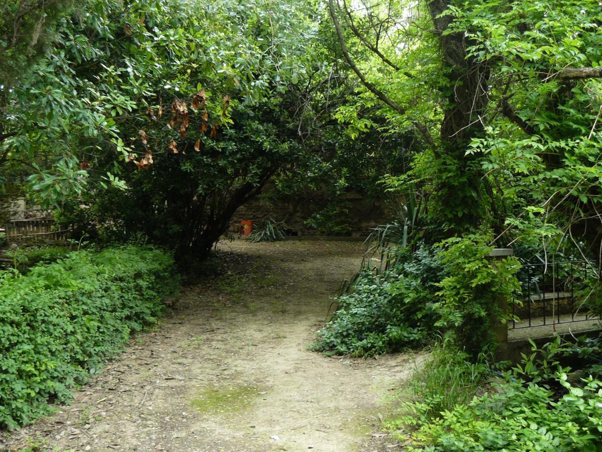 Ainzon Casa Rural Torre De Campos מראה חיצוני תמונה