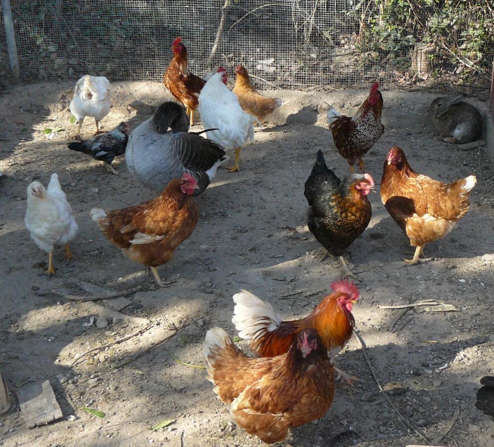 Ainzon Casa Rural Torre De Campos מראה חיצוני תמונה